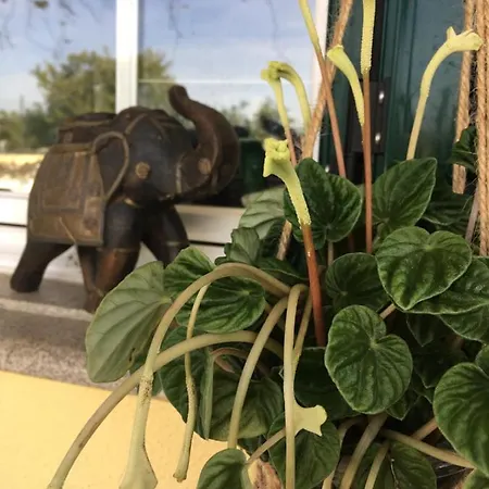 A Casa Do Lagar Habitación en casa particular *