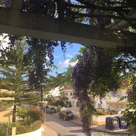 Privatunterkunft A Casa Do Lagar *