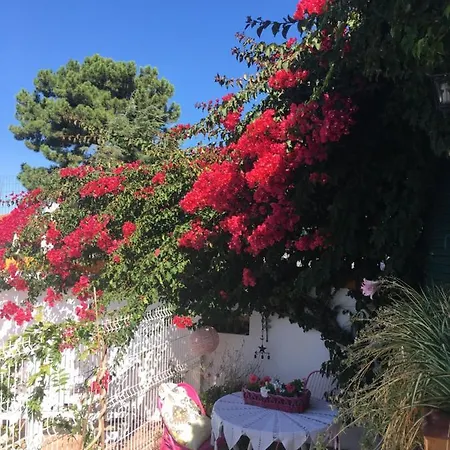 Проживание в семье A Casa Do Lagar *