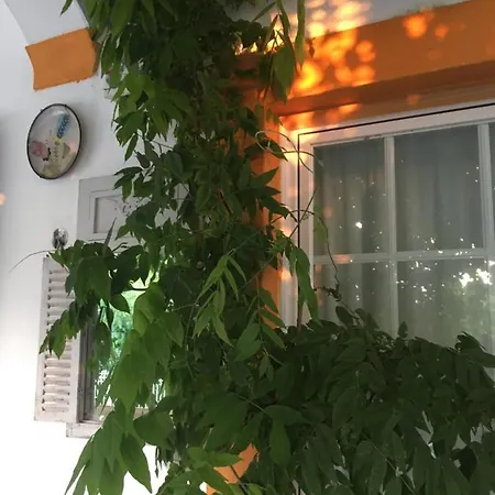 Quarto em Acomodações Particulares A Casa Do Lagar Azeitão