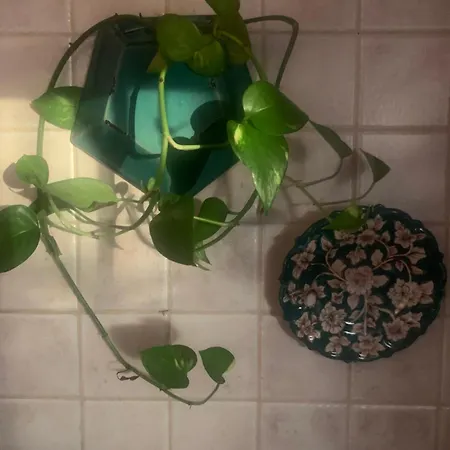 A Casa Do Lagar Quarto em Acomodações Particulares