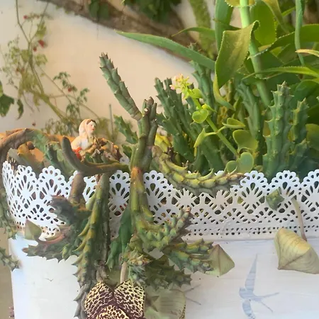 A Casa Do Lagar בית אירוח *