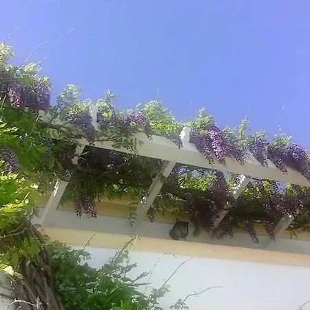 Privat bolig A Casa Do Lagar *