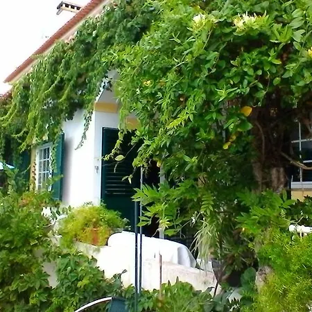 A Casa Do Lagar Homestay