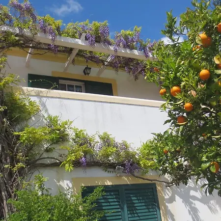 A Casa Do Lagar * Azeitão