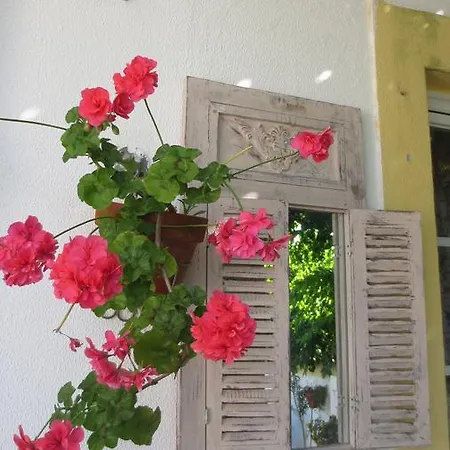 A Casa Do Lagar * Azeitao