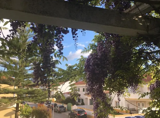 Privat bolig A Casa Do Lagar *