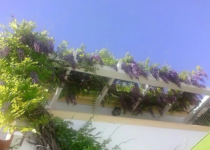 Privat bolig A Casa Do Lagar *